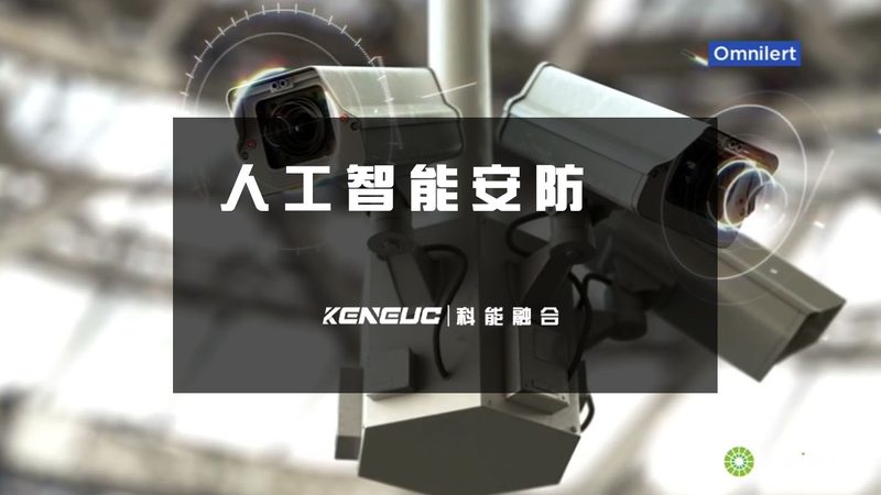 大模型定制开发：费用构成与合理预期**